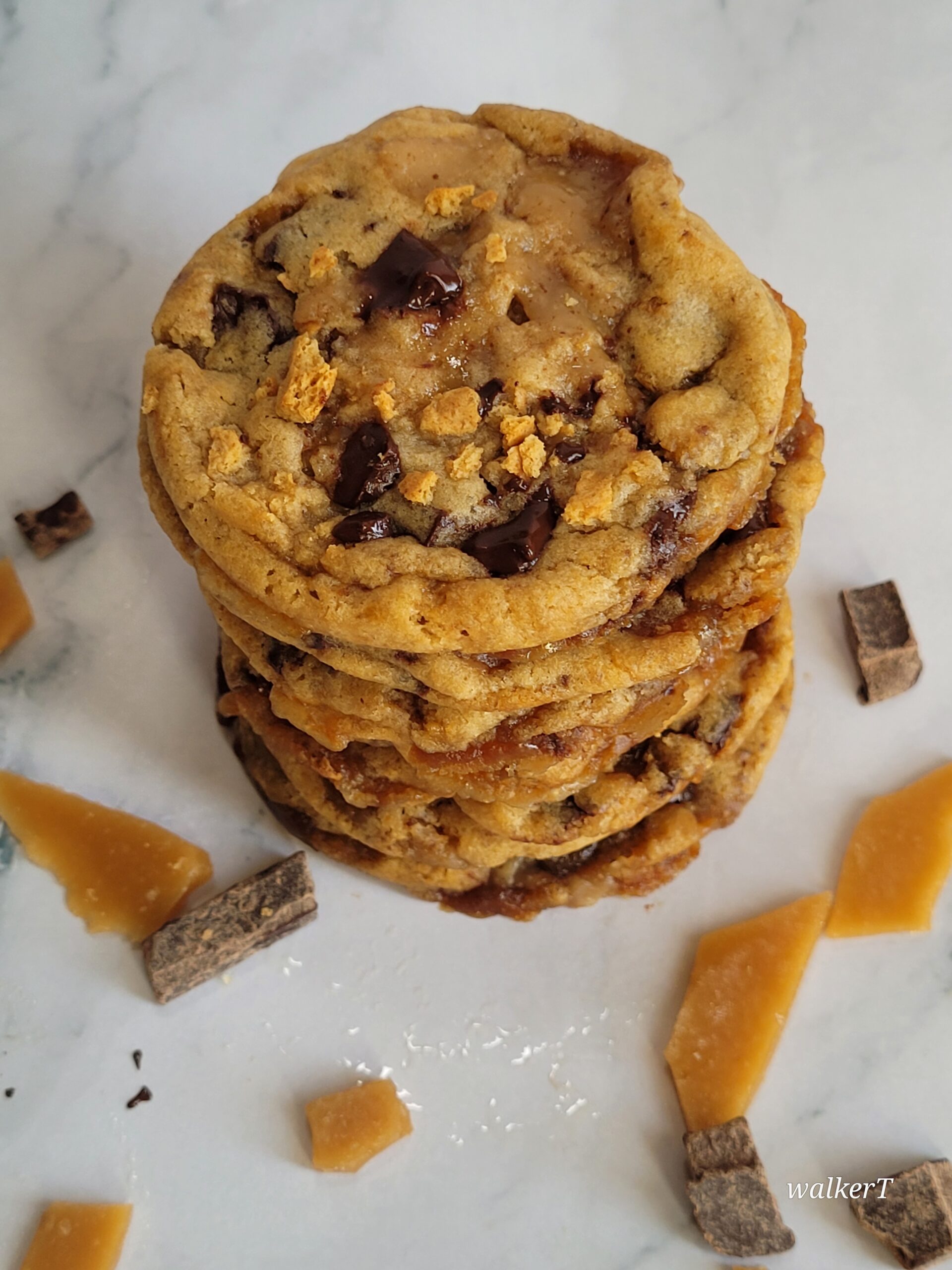 Chocolate Graham Toffee Cookies (Vegan)